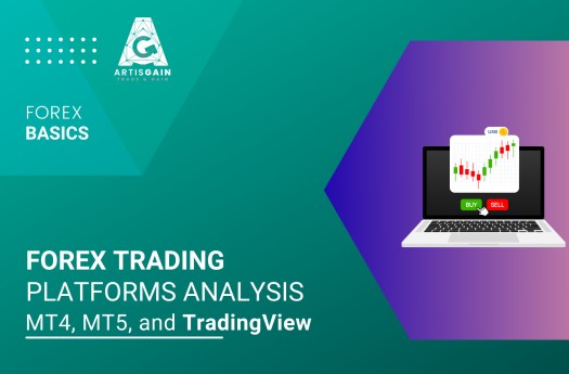 Forex Trading Platforms Analysis - MT4, MT5, and TradingView